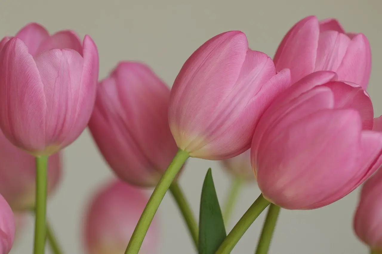 Sæsonens rolige skift