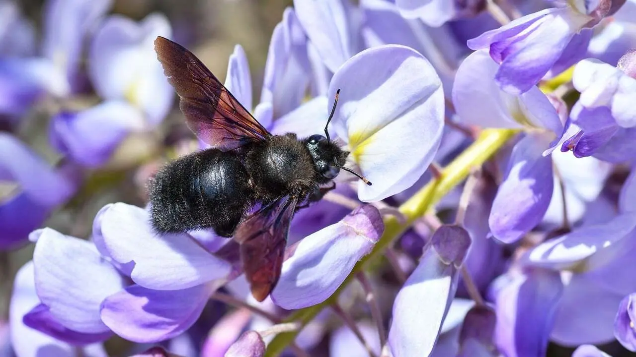 Guide: Få mere ud af din bolig med hjælp fra en lokal tømrer i Silkeborg